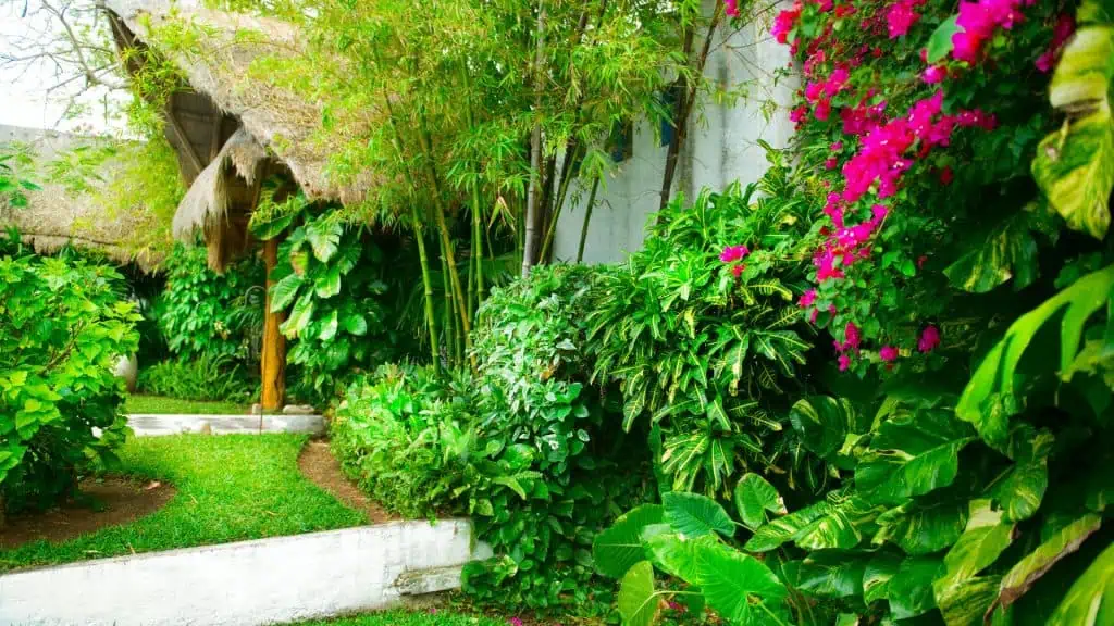 Jardines - Jardín Casa