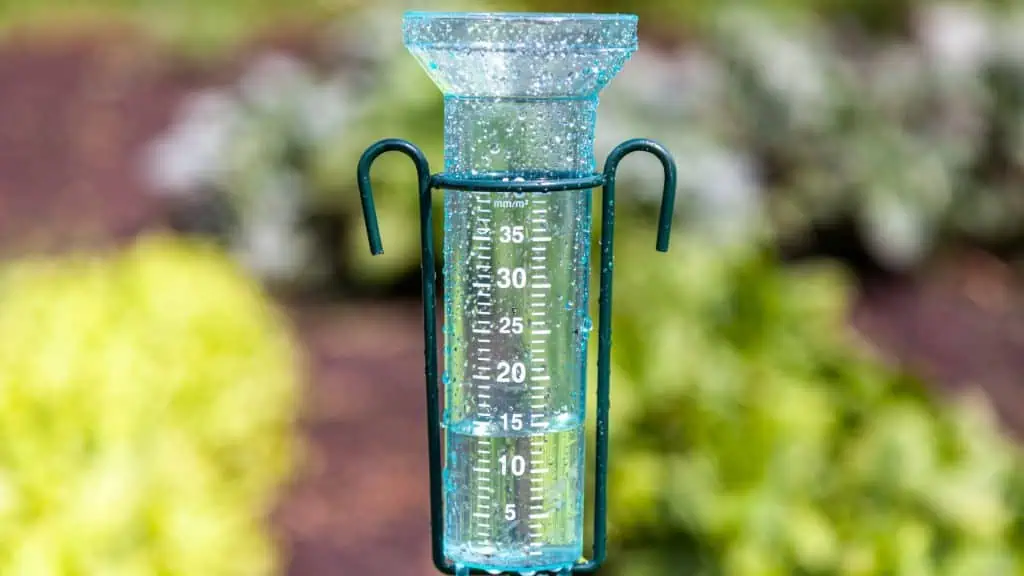 Jardines de Lluvia en la Arquitectura Sostenible