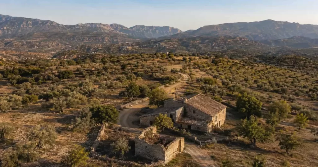 Vista aérea de parcela rústica agrícola en Aragón con olivos, ribazos de piedra seca, casa rural tradicional de mampostería con tejado de teja árabe y montañas pedreras del valle del Ebro al fondo